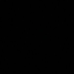 Meet your Posher, Jayden